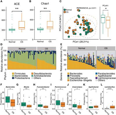 Characteristics of the gut microbiota and serum metabolites in postmenopausal women with reduced bone mineral density
